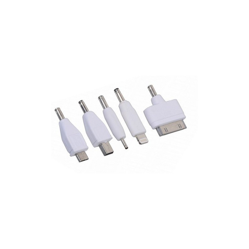 Telefono įkroviklis 12 V 2,1 A (iPhone 4/5/6, micro USB, Nokia)