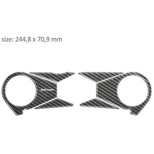 Angliniai akiniai - Kawasaki ZX 10R (06-10) išpardavimas