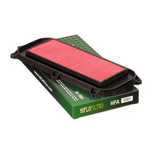 Oro filtras Hiflofiltro HFA5003