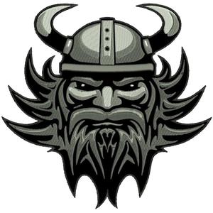 Vikingų pleistras