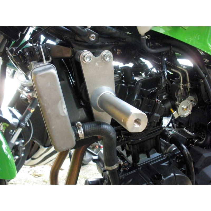 "Kawasaki ZX-300R Classic