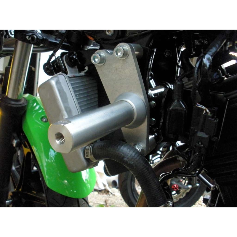 "Kawasaki ZX-300R Classic