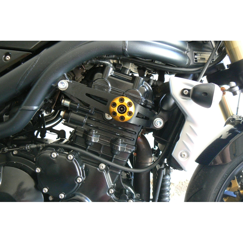 Triumph SPEED TRIPLE 1050 (05-10)