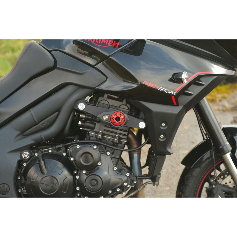 Triumph TIGER SPORT 1050 (13-) Strėlė