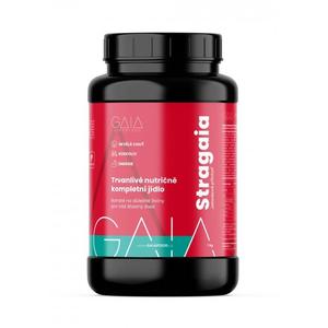 Greitasis maistas GAIA Stragaia 1 kg braškių