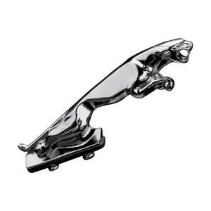 "Fender" apipavidalinimas Panther