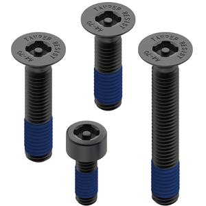 „Quad Lock®“ apsaugos nuo vagystės varžtų rinkinys, juodas